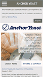 Mobile Screenshot of anchor.co.za